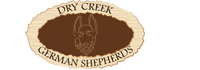 Dry Creek German Shepherd